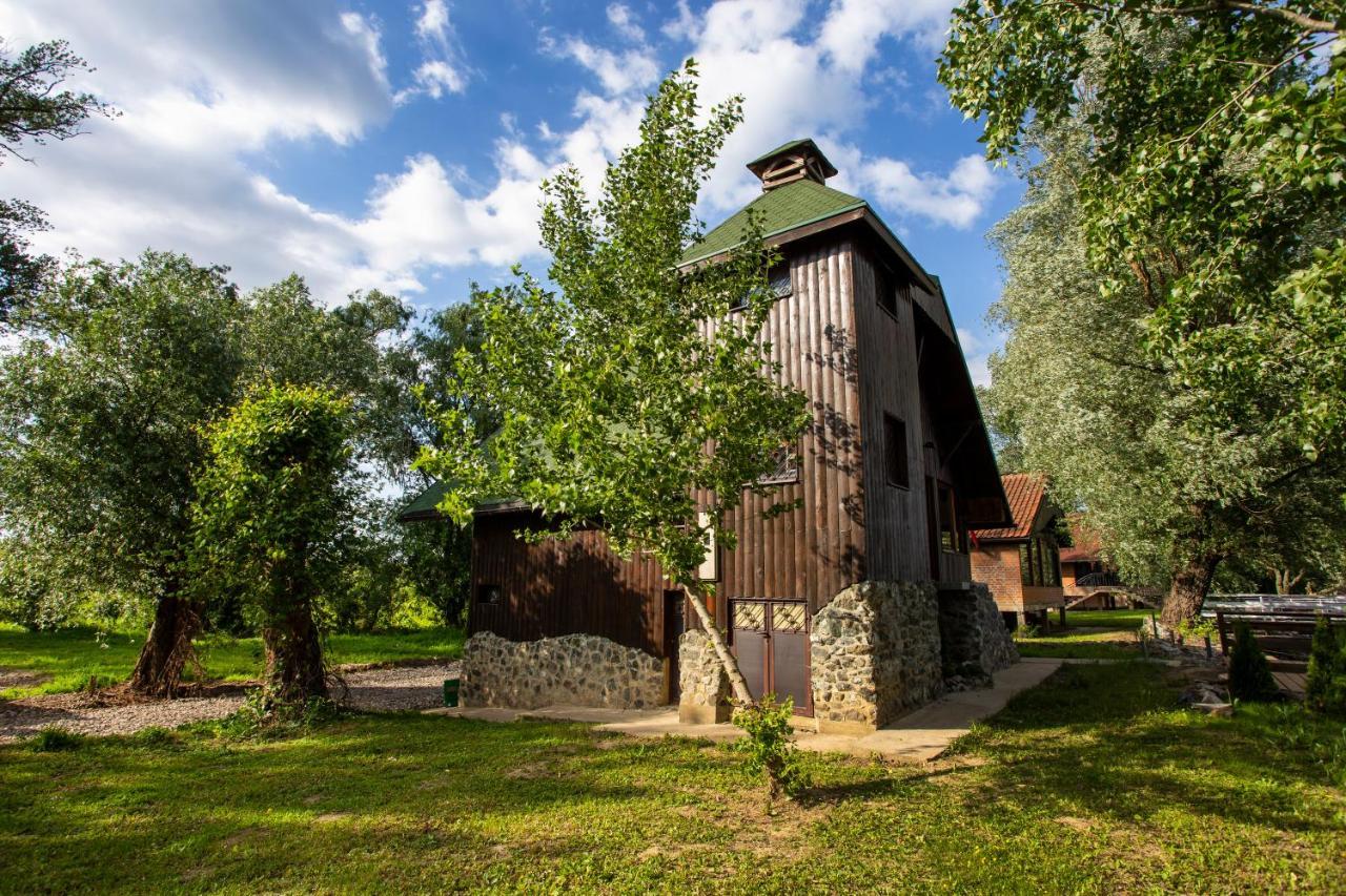 River House Vasa Belgrad Exteriör bild